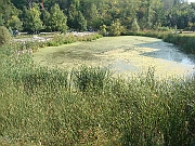 Western Michigan [2009] 199